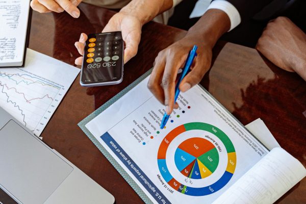 ds consultants loans